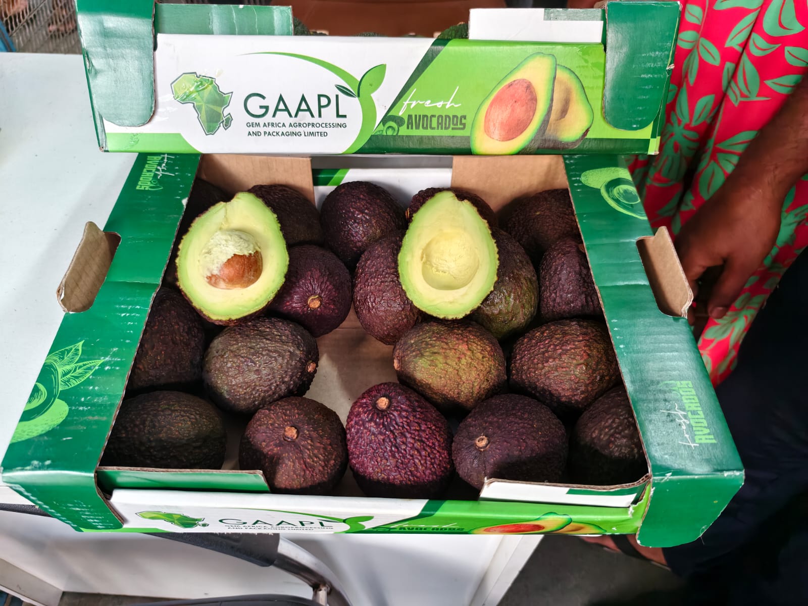 India consignment — premium avocados at consumer end